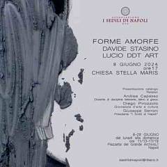 Forme amorfe di davide stasino e lucio ddt art